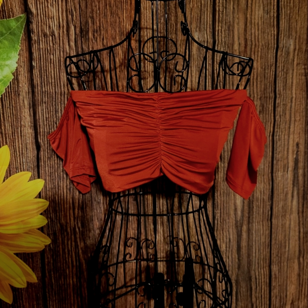 Belita Collection Large Crop Top